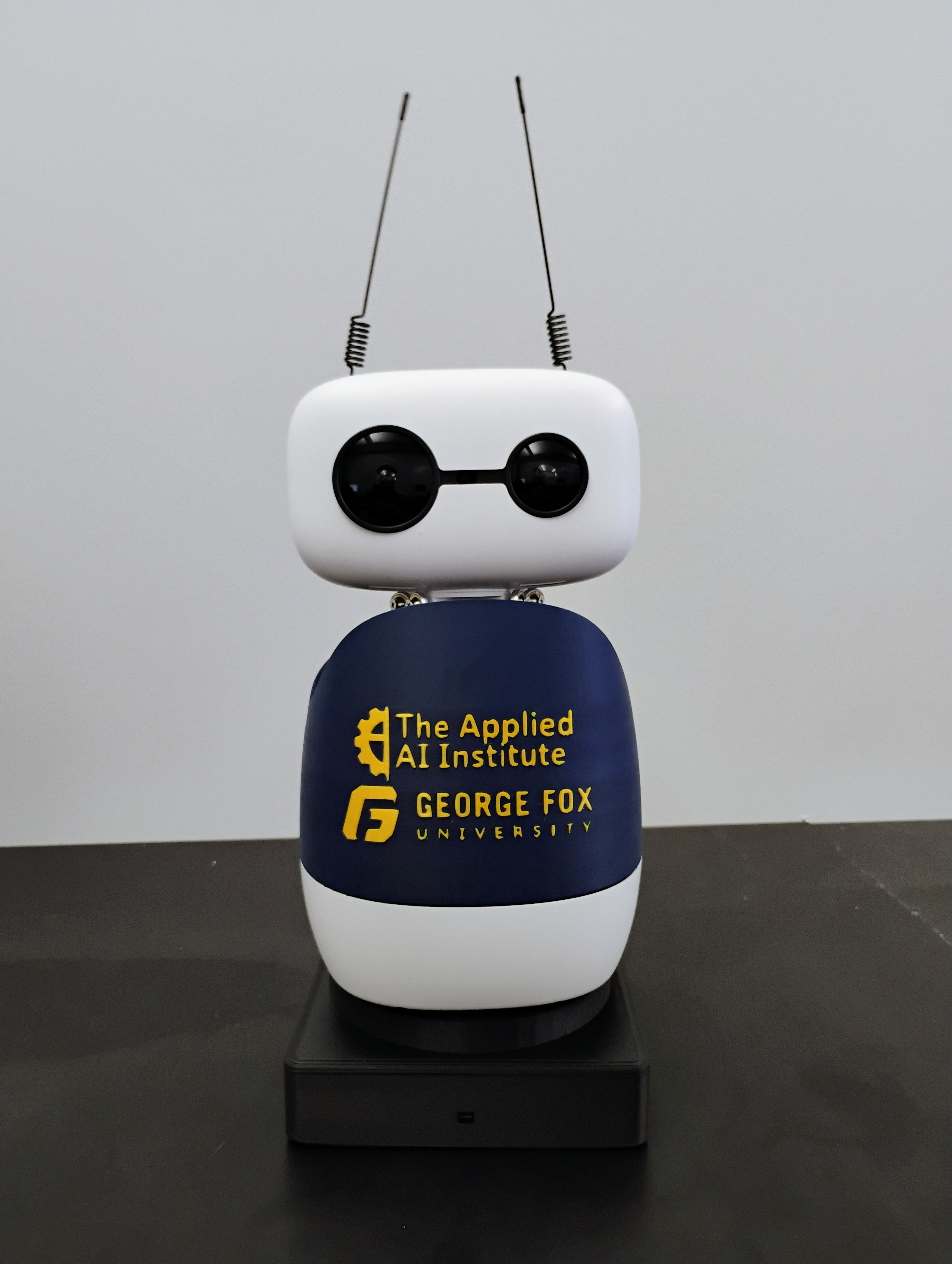 Maggie Robot